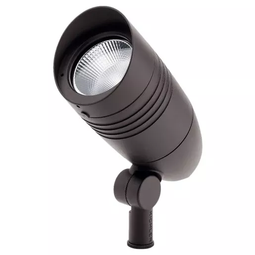 21W LARGE ACCENT 33 DEGREE BEAM