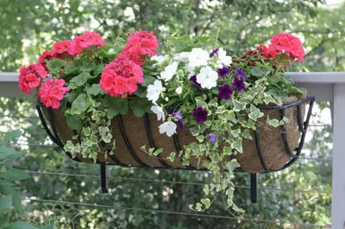 24 in Window Hayrack with Molded Coco Liner