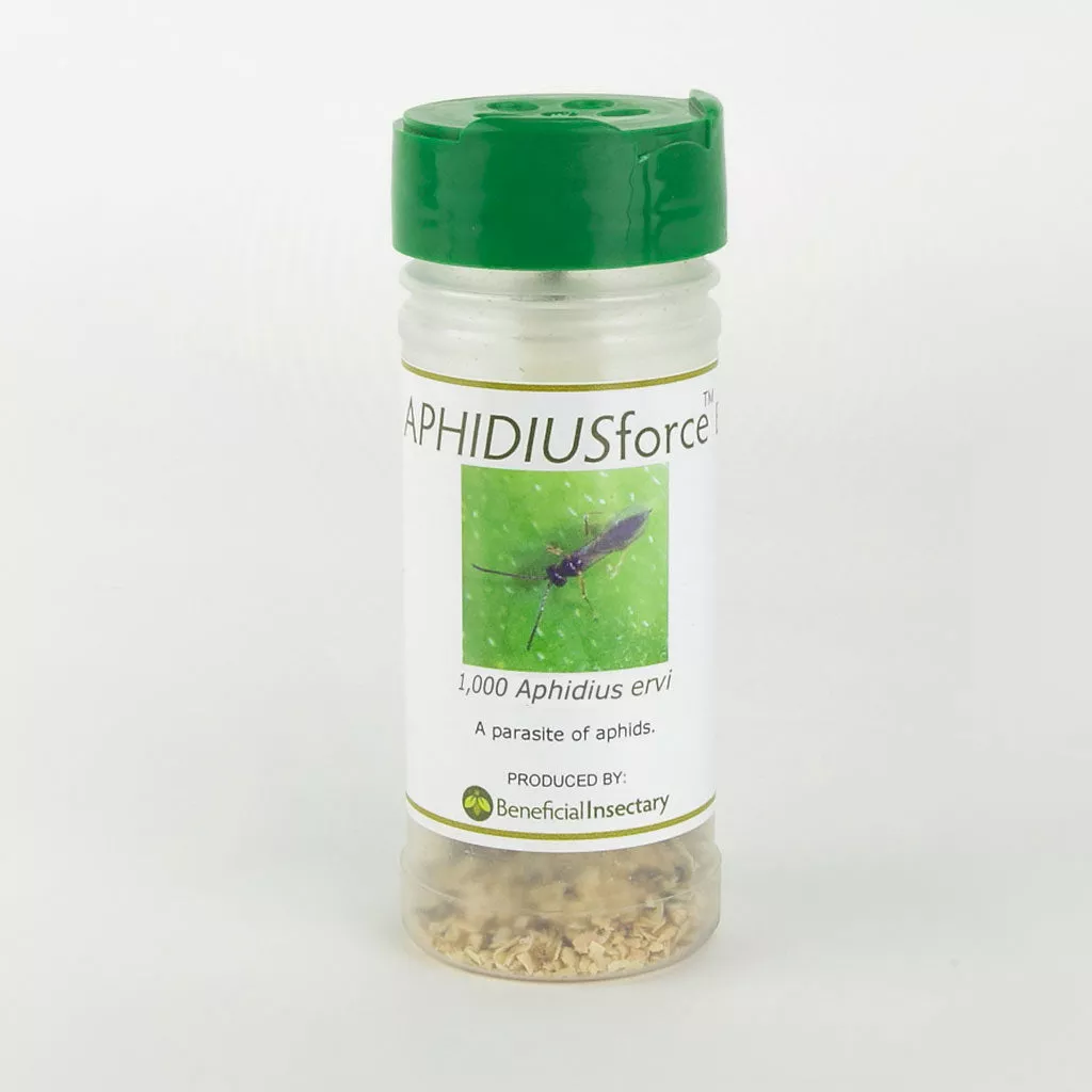 APHIDIUSforce E for Aphid Control
