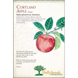 Apple Cortland Semi-dwarf