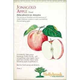 Apple Jonagold Semi-dwarf