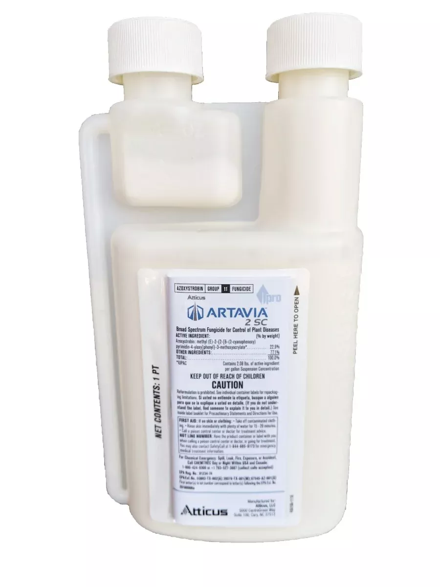 Artavia 2SC-Pint