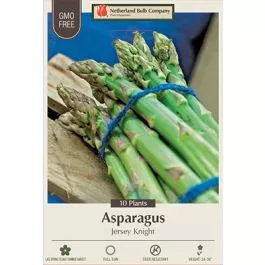 Asparagus Jersey Knight 10pk