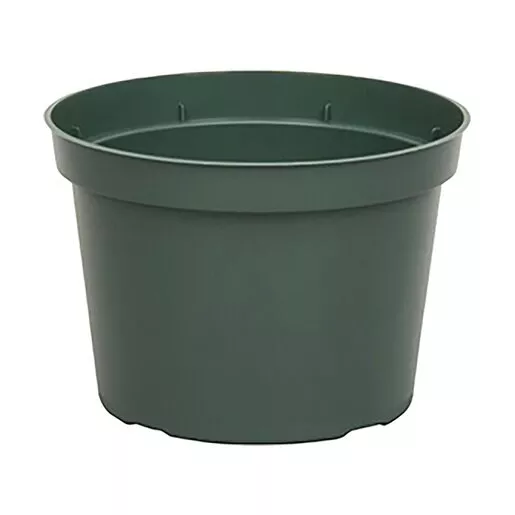 Azalea Pot Green 352 Case 6 in.