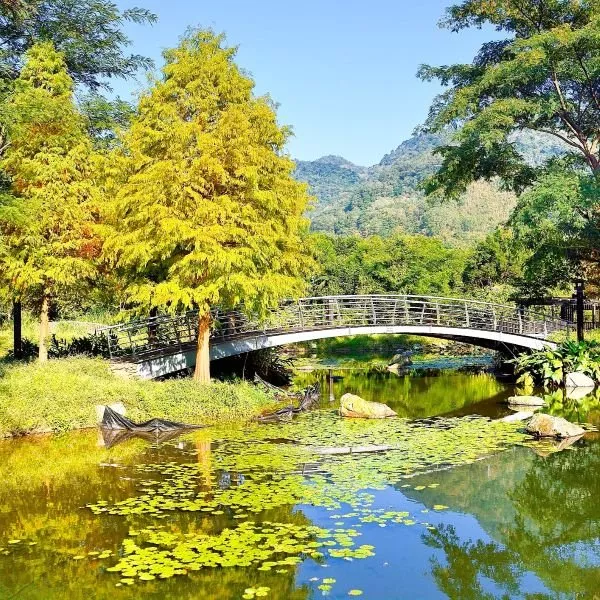 Bald Cypress Trees