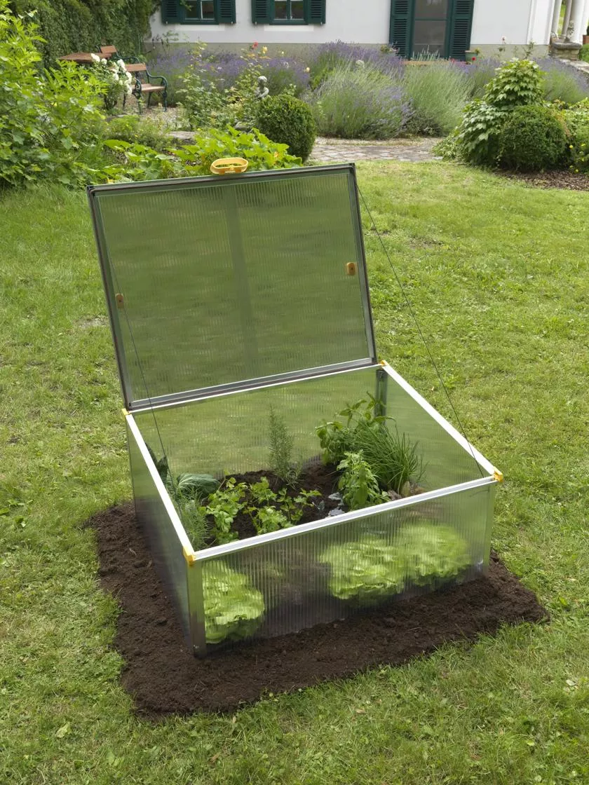Biostar 1000 Cold Frame