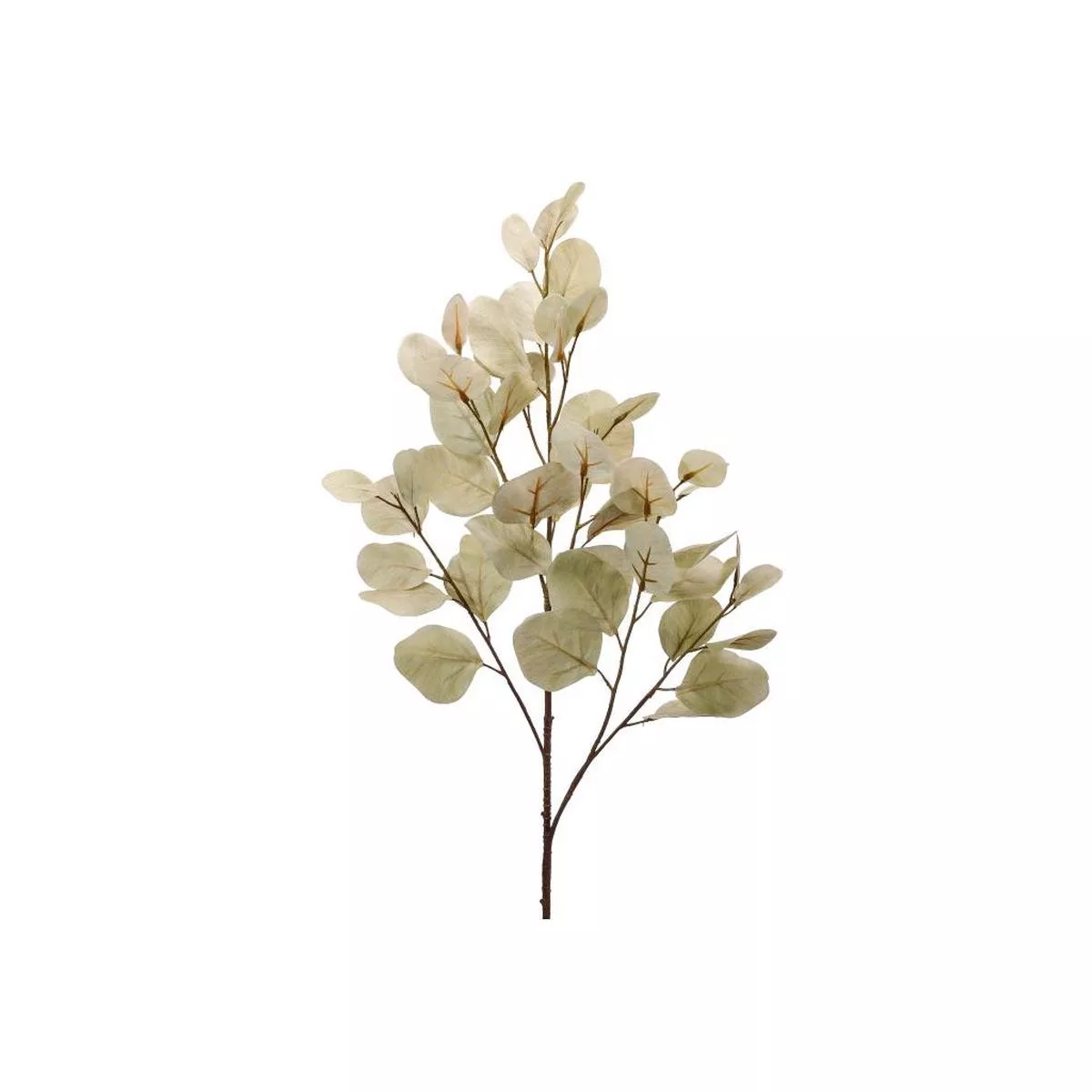 Bleached Silver Dollar Eucalyptus Spray 34 ” Beige Green Everlasting