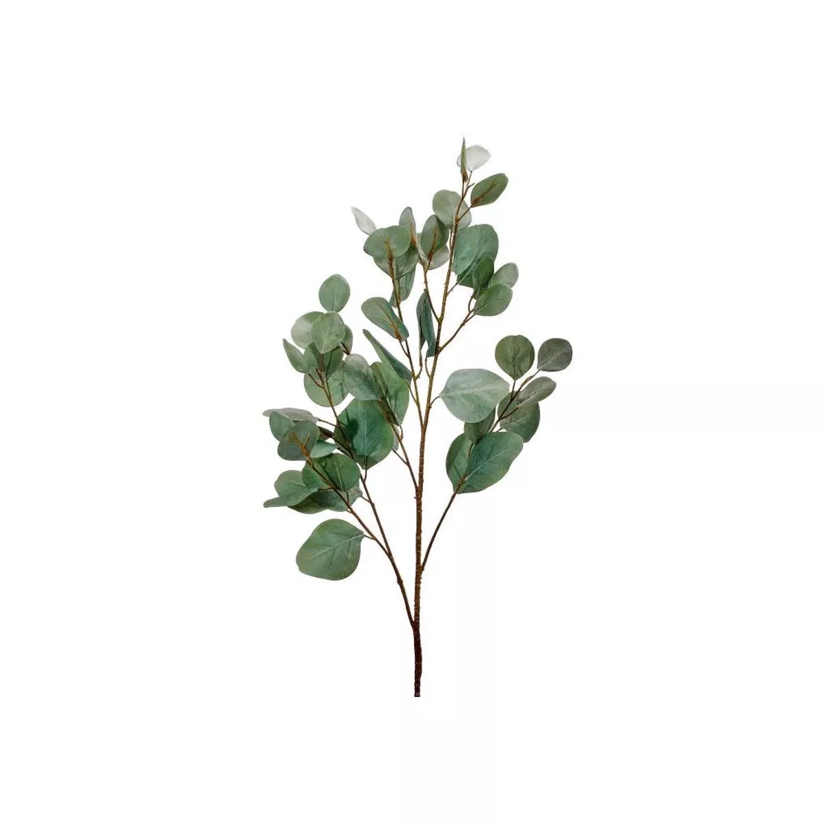 Bleached Silver Dollar Eucalyptus Spray 34 ” Green Everlasting