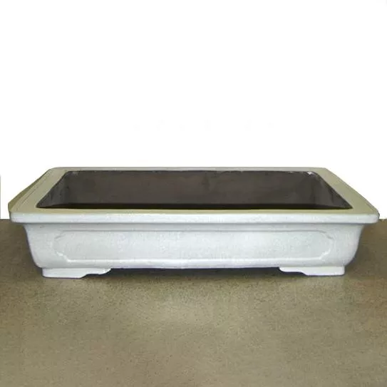 Bonsai Planter – Rectangular Shape, White