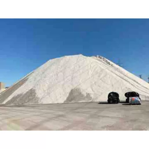 BS Rock Salt 2000 lb.