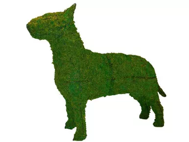 Bull Terrier Topiary