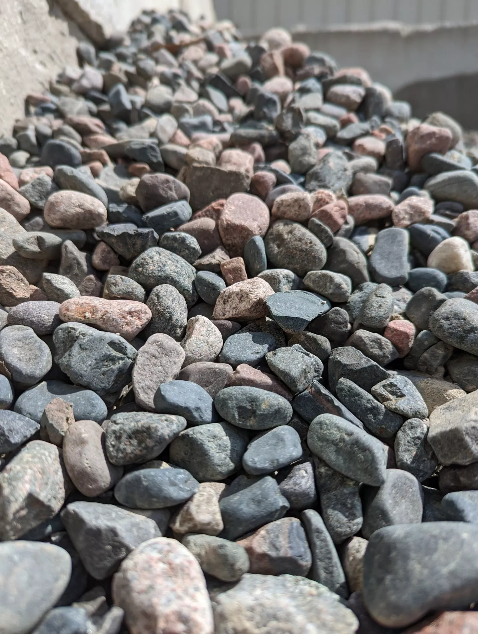 Canadian Blue Pebbles
