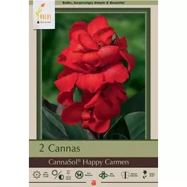 Canna CannaSol Happy Carmen 2 PK