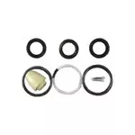CAT KIT, PISTON, W/VITON CUP 2520