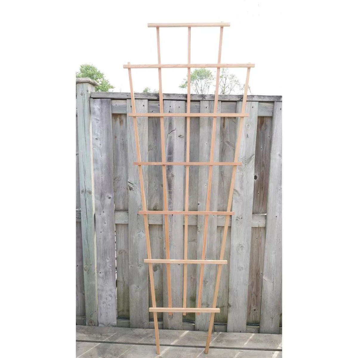 Cedar Fan Trellis 84 ”x32 ”