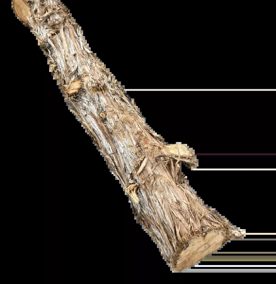 Cedar Post - 8'