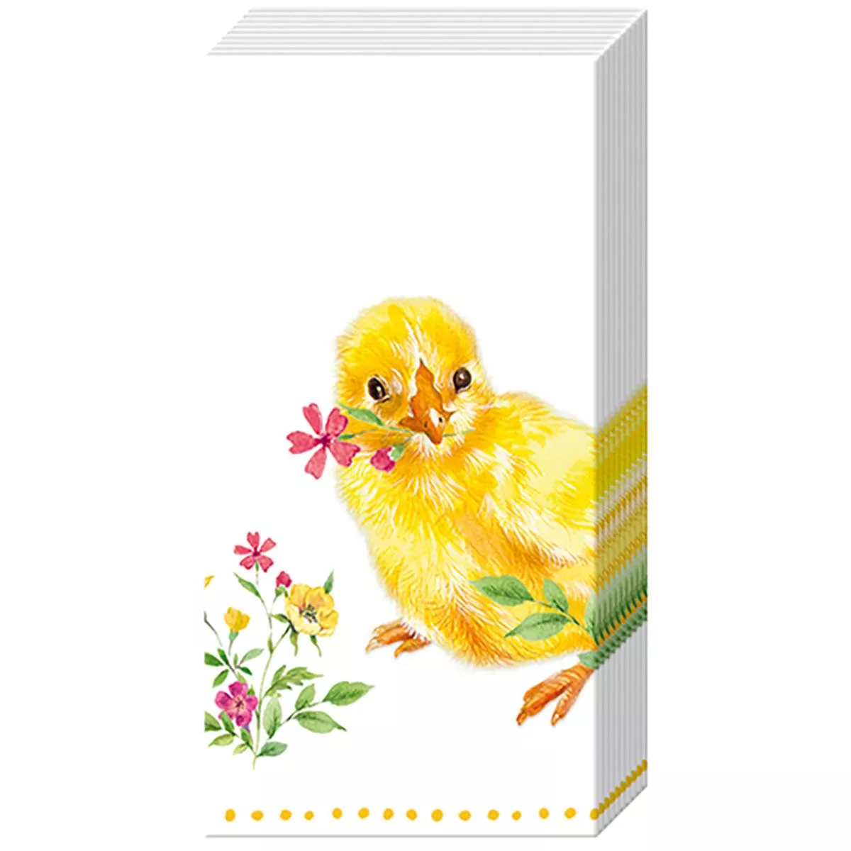 Chicks Tissue