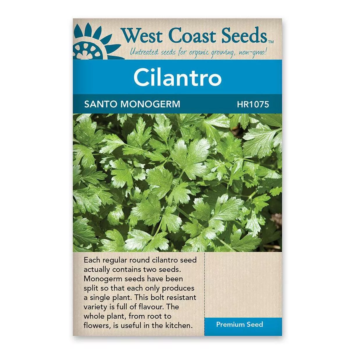 Cilantro Santo Monogerm Seeds