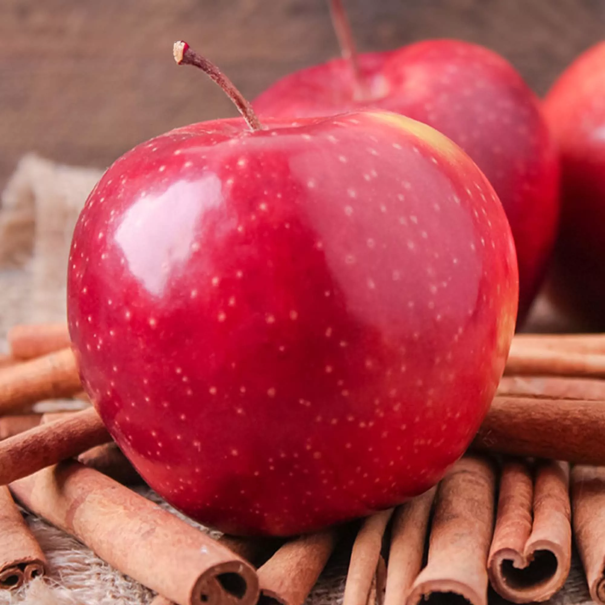 Cinnamon Spice Apple Tree – 3-4 FT