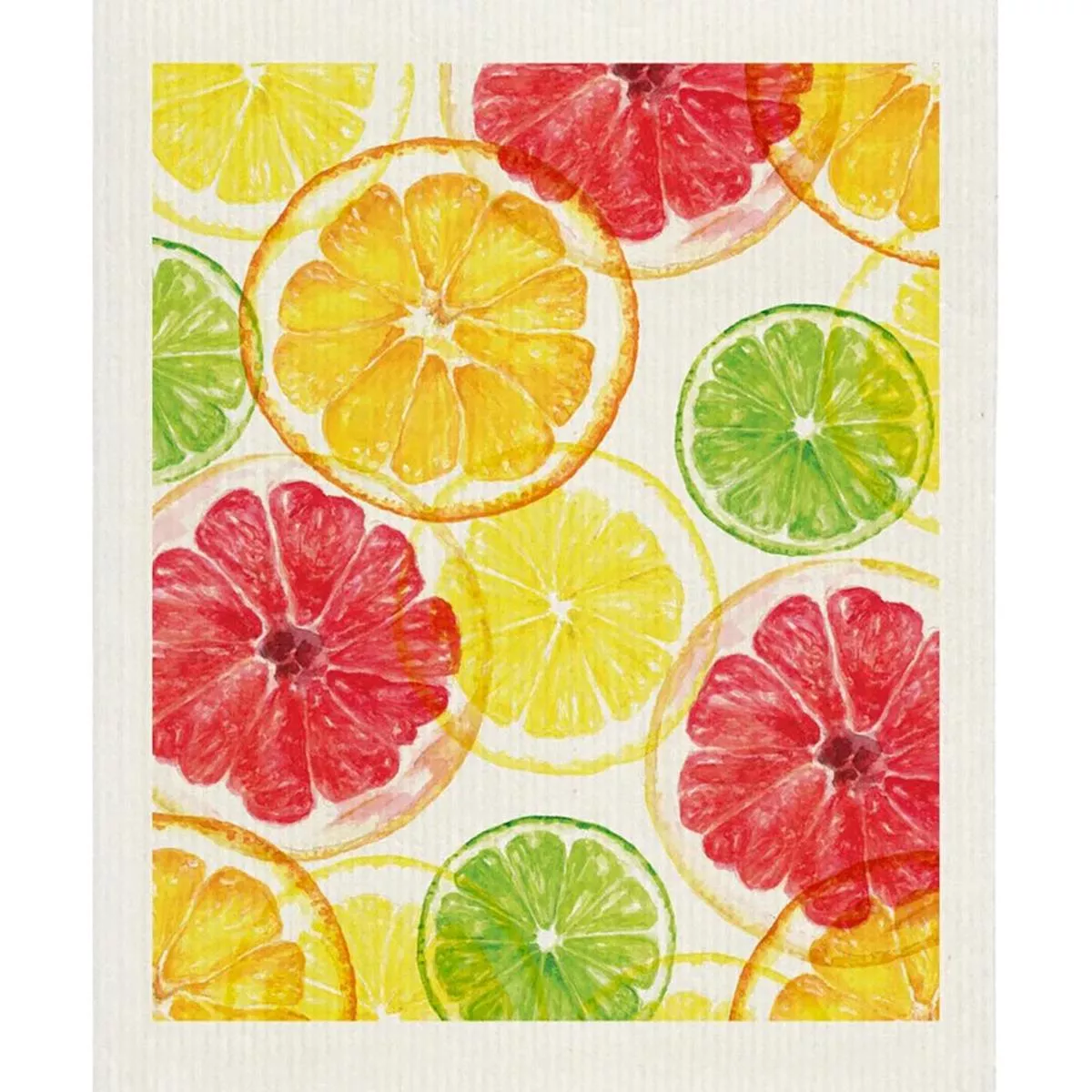 Citrus Sponge ClothMulti