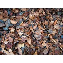 Co-Co Shells