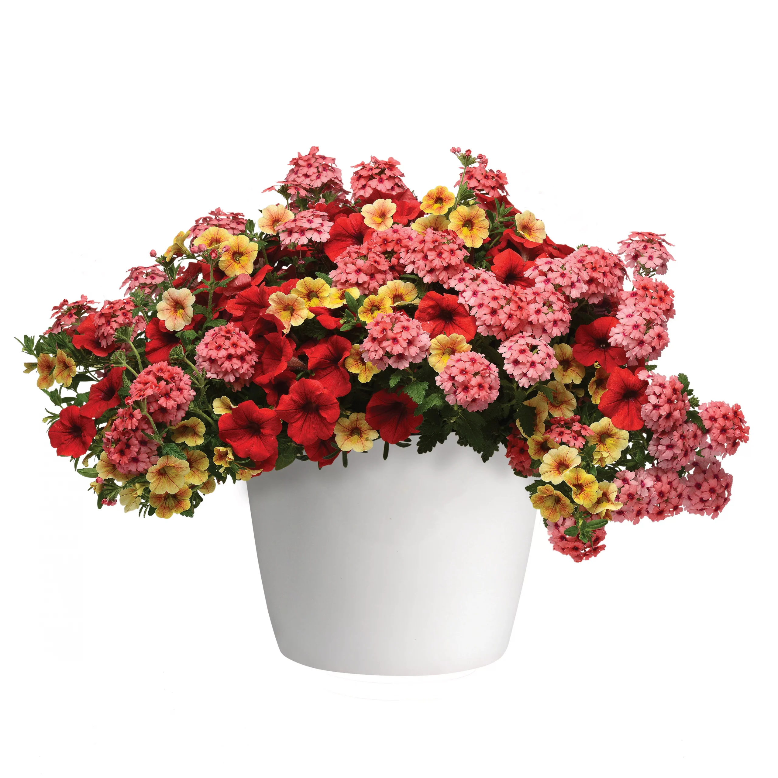 Combination Pots - 6.5 Inch