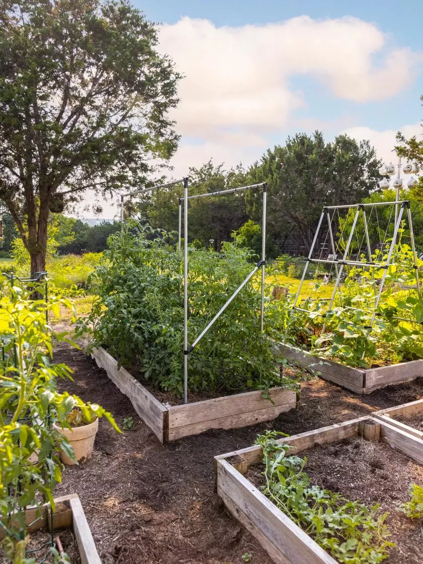 Connector Kit for DIY Double Tomato Trellis