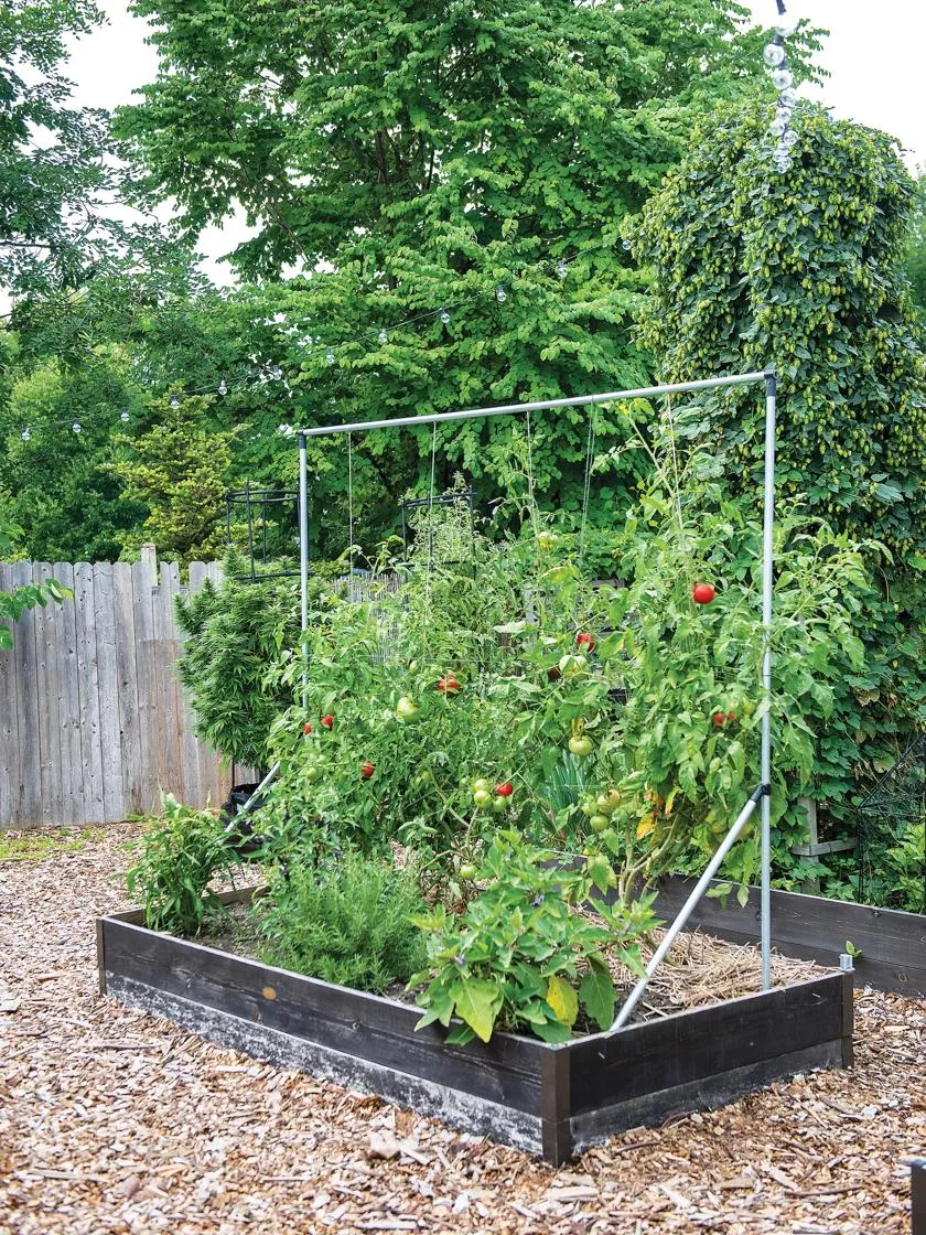 Connector Kit for DIY Single Tomato Trellis