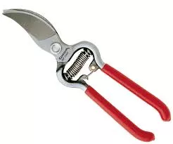 Corona Branch Pruner 3/4'