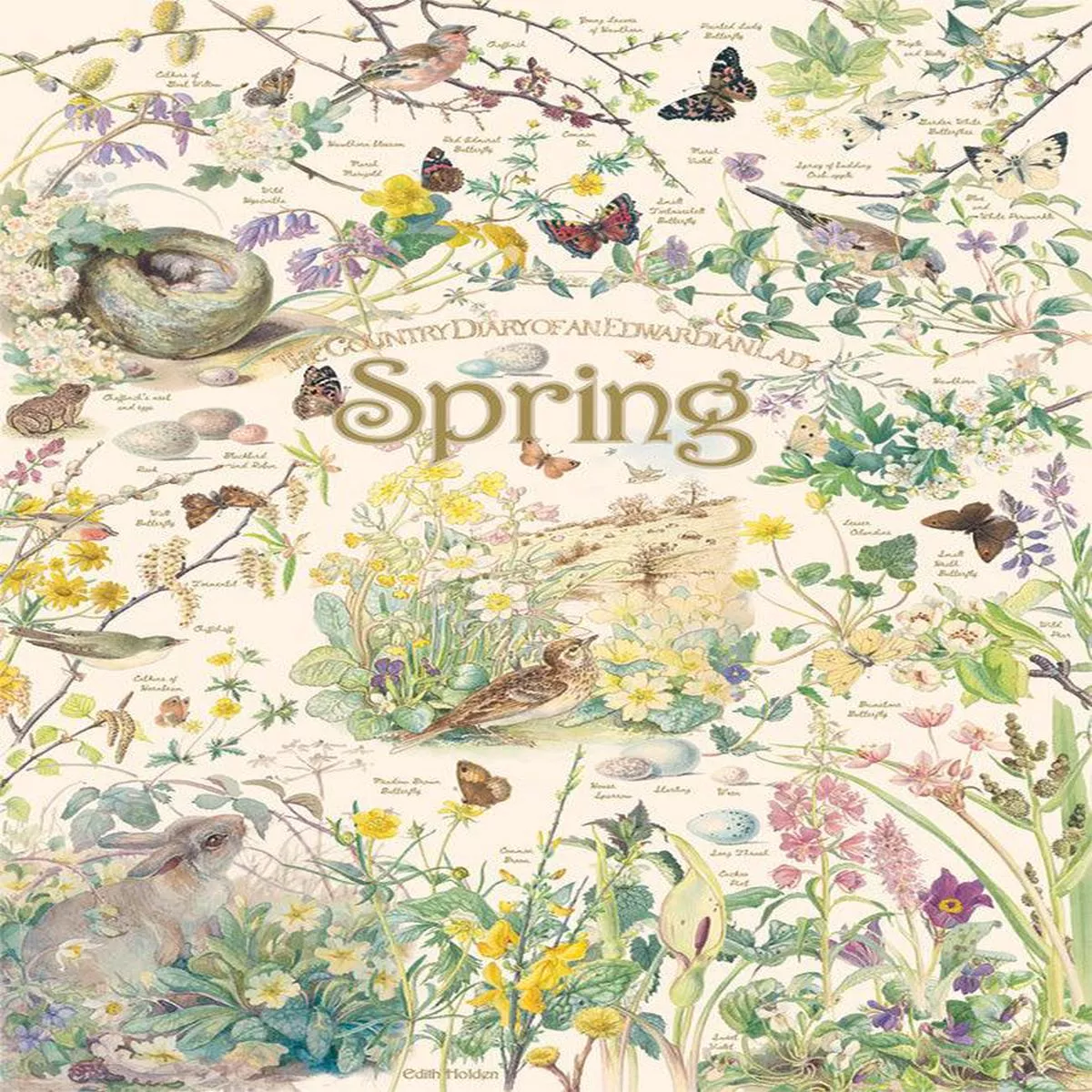 Country Diary: Spring1000 PC Puzzle