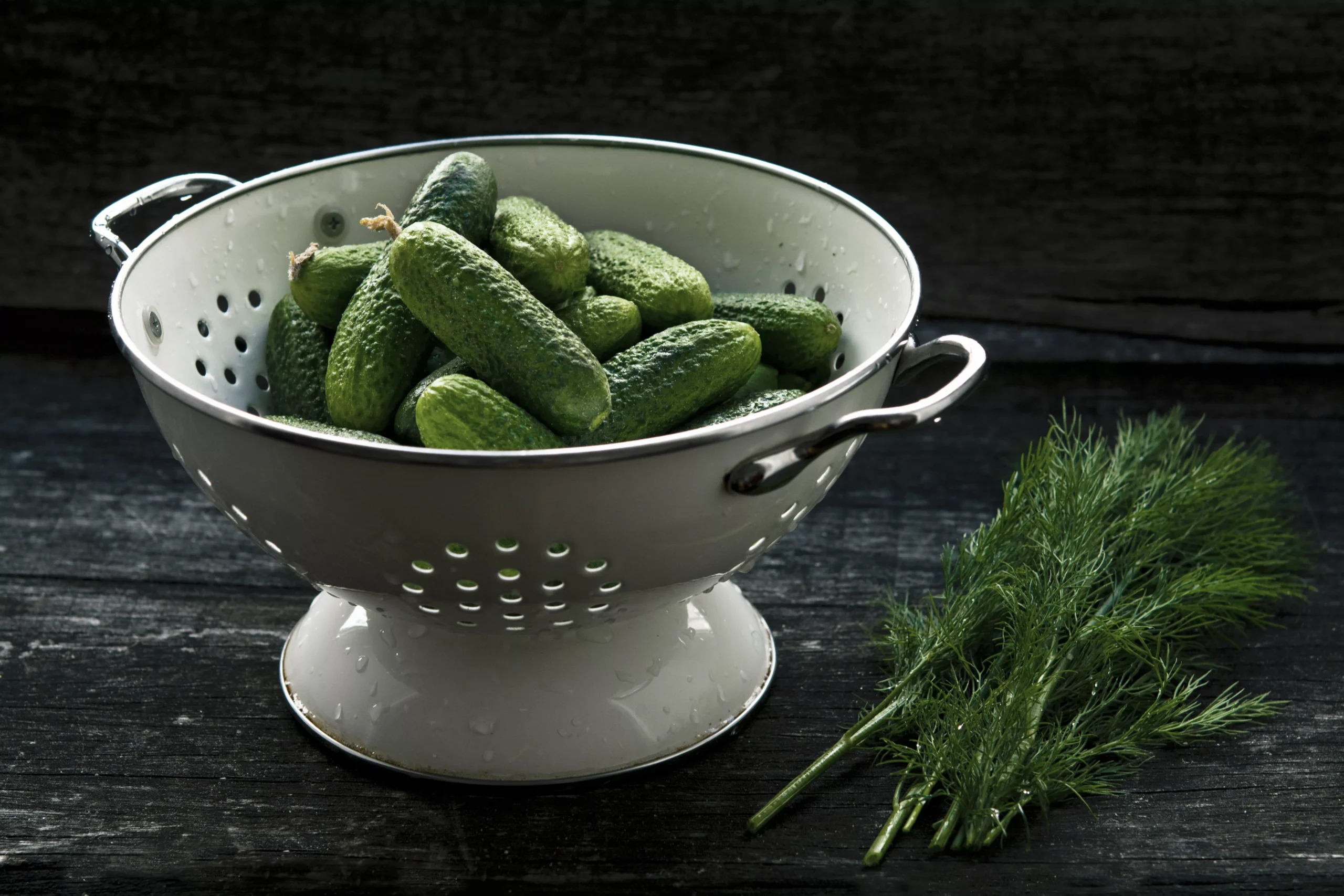 Cucumber - Marketmore 76