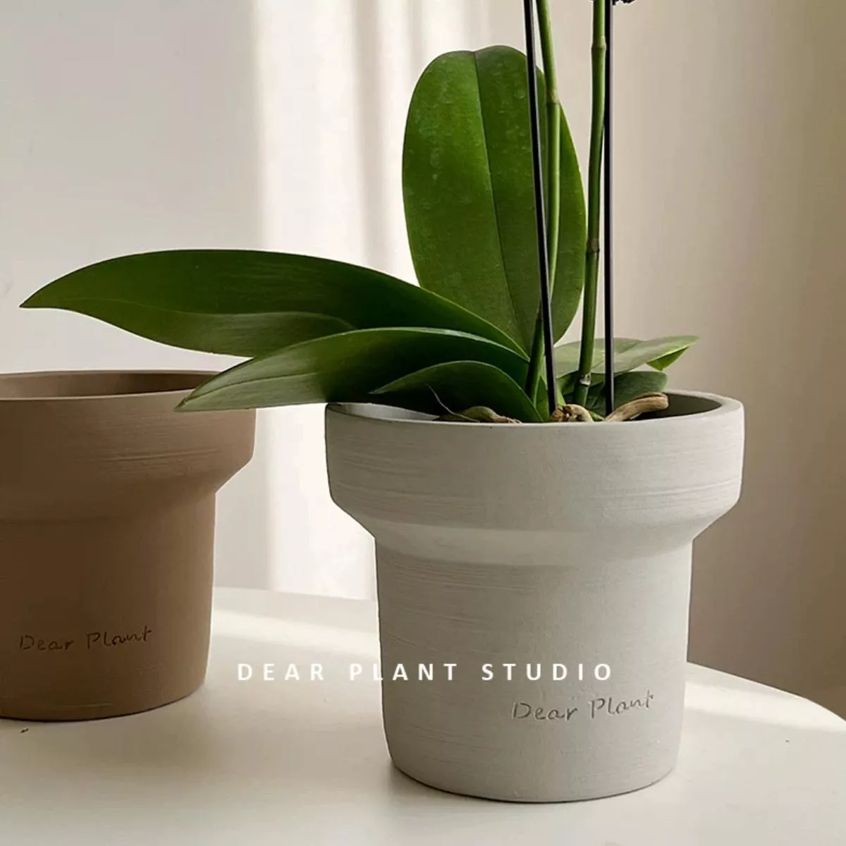 Dear Planter (13cm) without Saucer