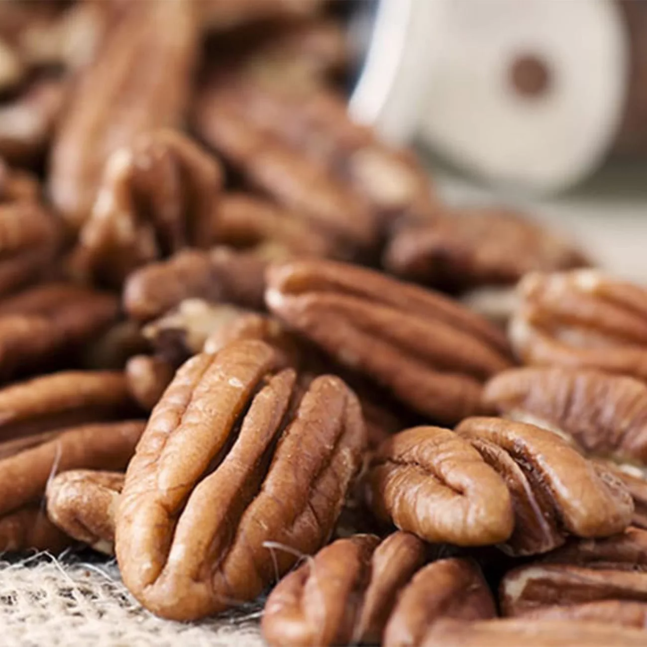 Desirable Pecan Tree | Type 1 Pollinator – 5 GALLON