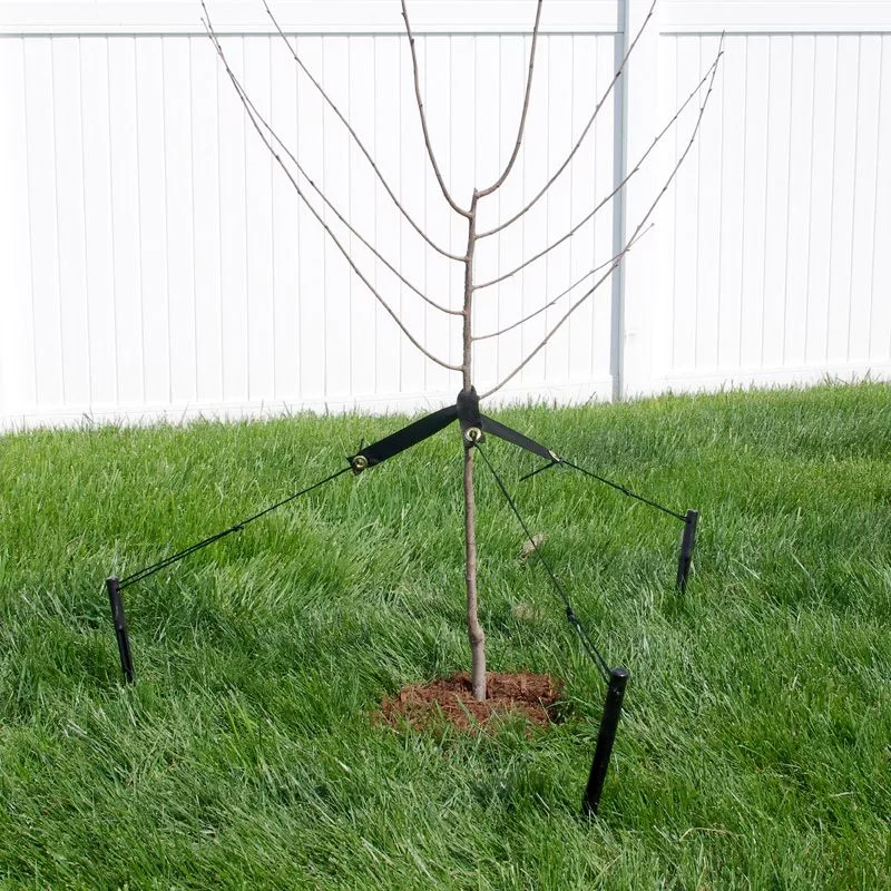 DeWitt Tree Stake Kit