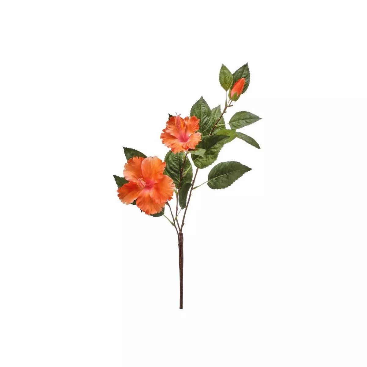 Double Hibiscus & Bud 29 ” Orange Everlasting