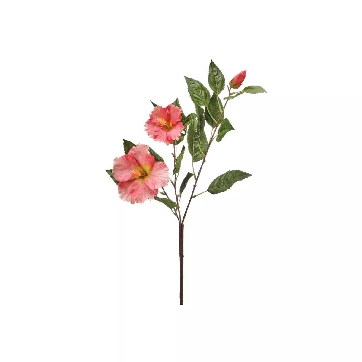 Double Hibiscus & Bud 29 ” Salmon Pink Everlasting