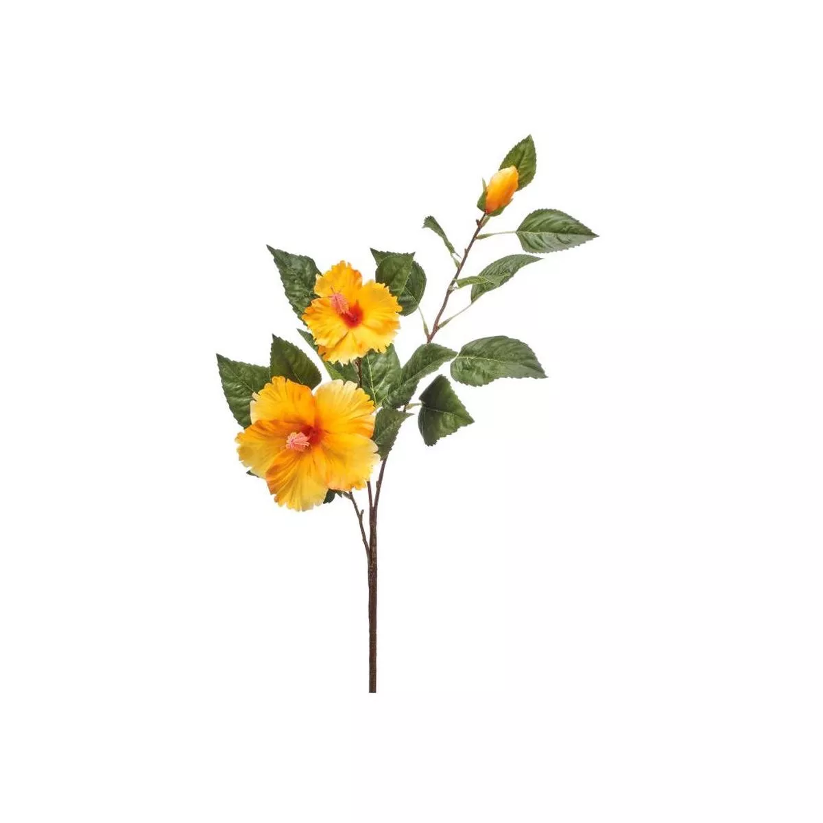 Double Hibiscus & Bud 29 ” Yellow Everlasting