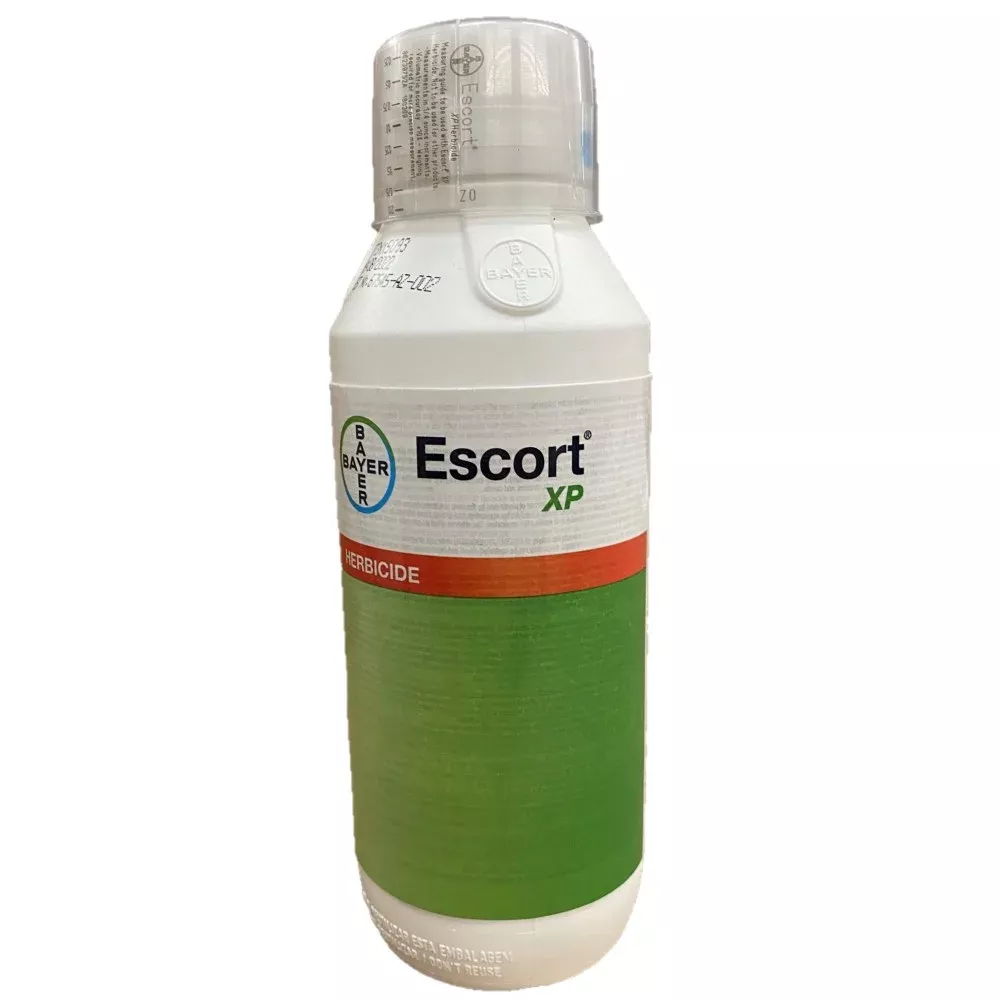 Escort XP 16oz