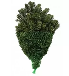 Evergreen & Holly Bunch - 34563-8499