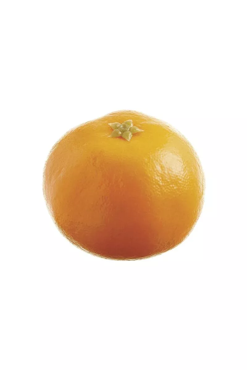 Faux Tangerine 2" Orange