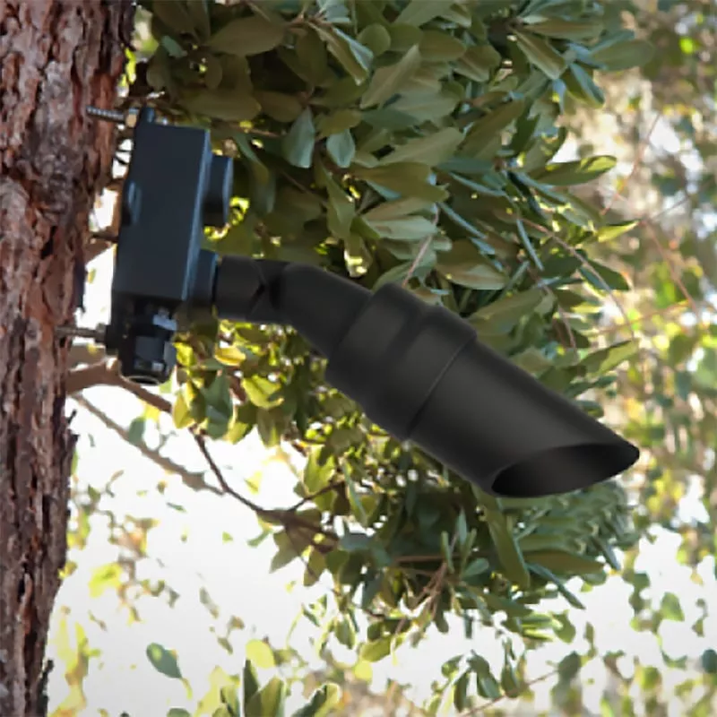 FX – Tree Box