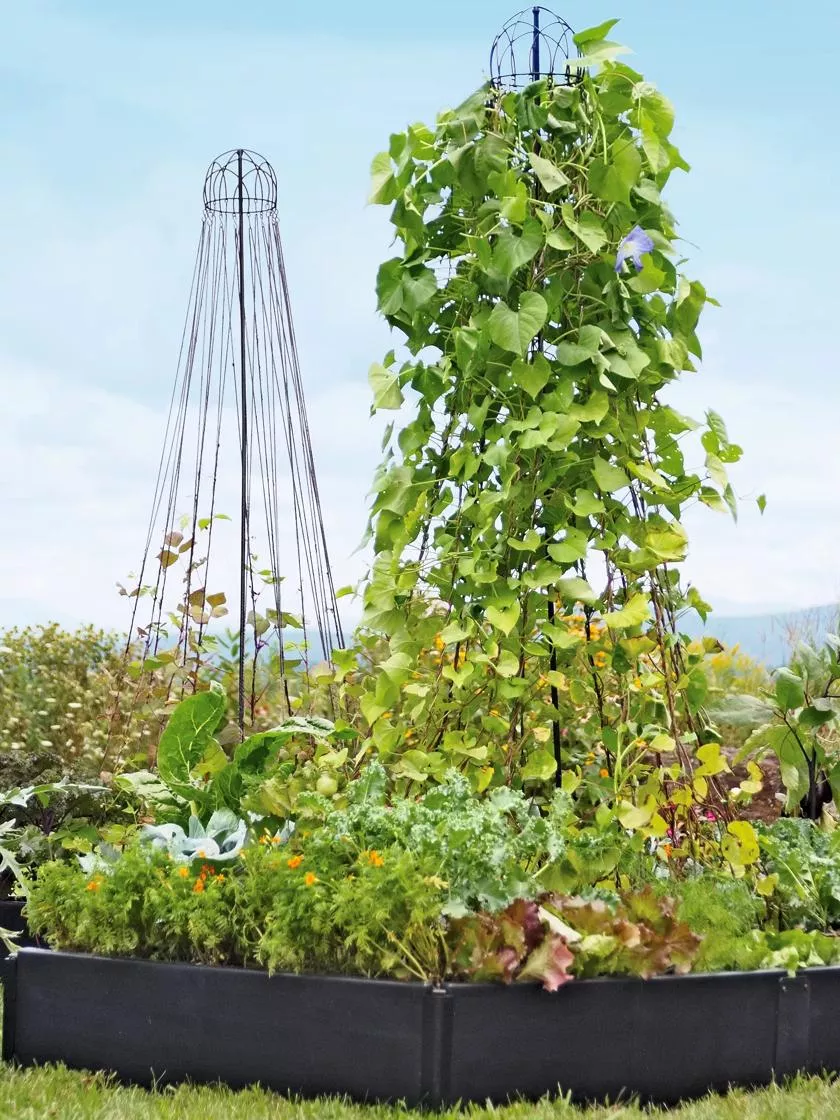 Garden Maypole Plant Support