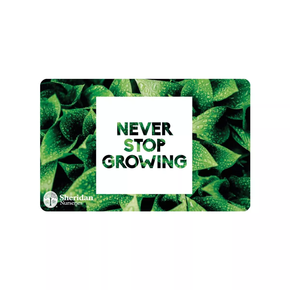 Gift Card – Green – Mailed to You