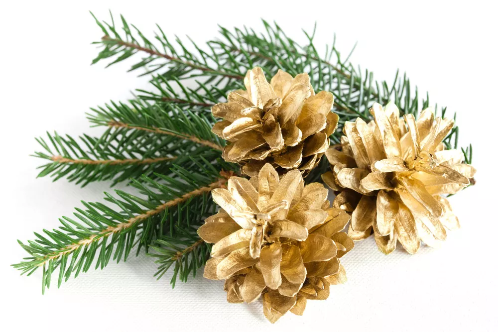 Gold Pine Cones