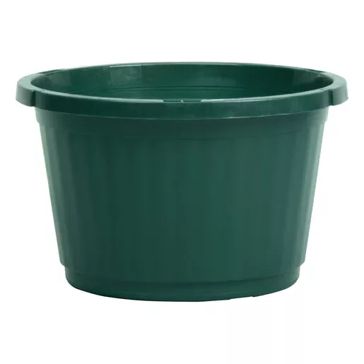 Green Hanging Basket 50 Case 10 in.