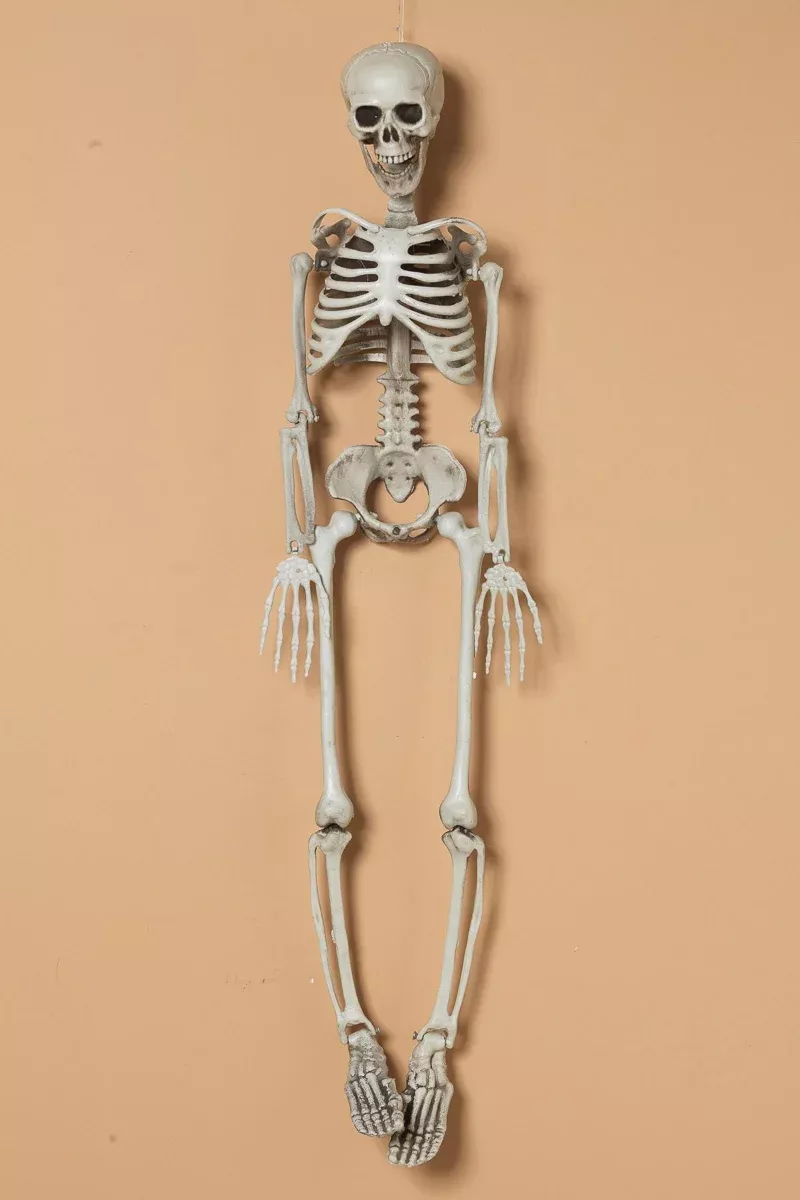 Hanging Plastic Skeleton 36.3"