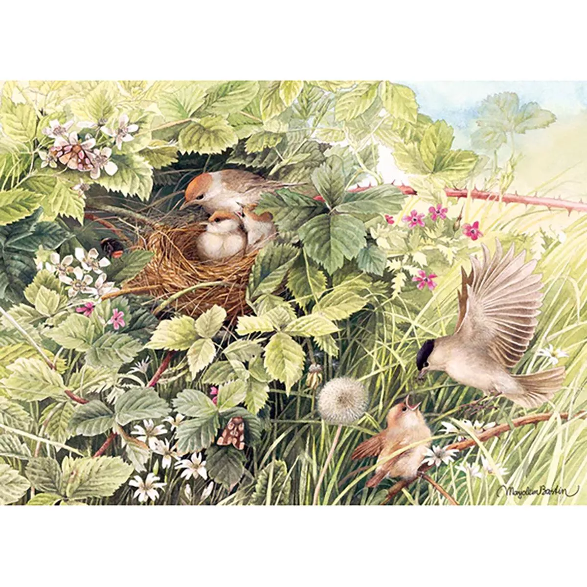 Hidden Nest 1000Pc Puzzle