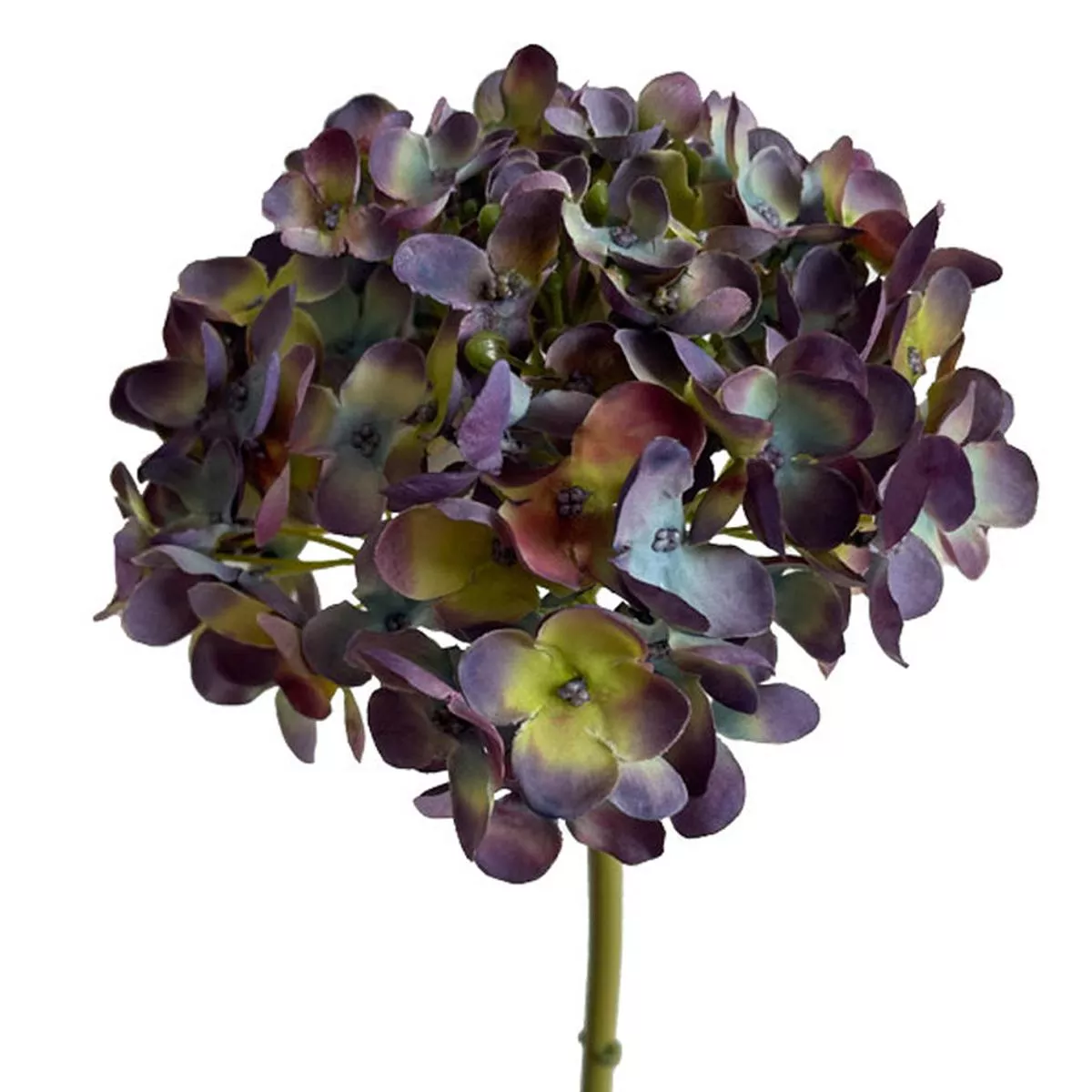 Hydrangea Short Stem 18.5 ” Green/Purple (Everlasting)