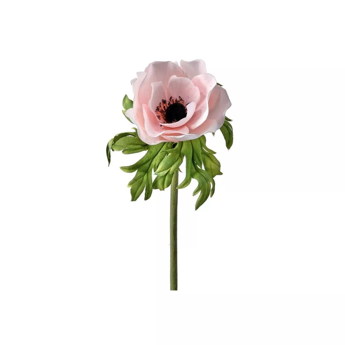 Just Cut Anemone 22 ” Blush Everlasting