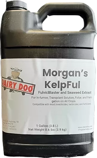 Kelpful 1 Gal